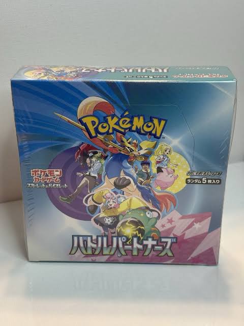 Pokemon Battle Partners